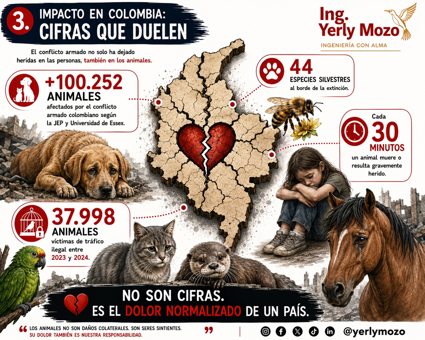 Impacto Colombia